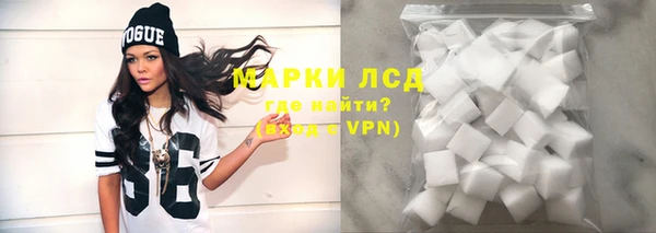 прущие грибы Баксан