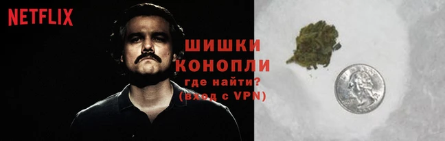 прущие грибы Баксан
